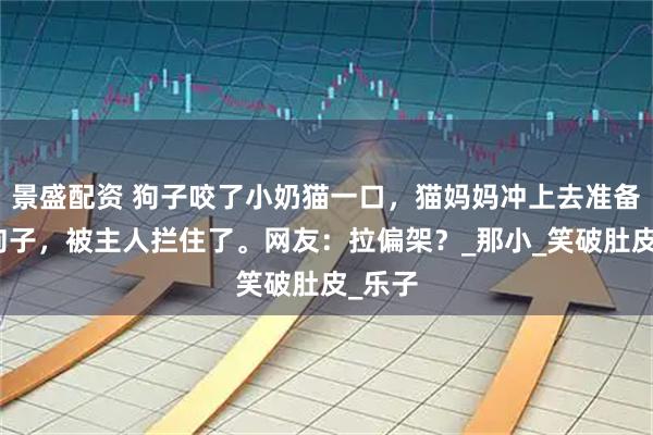 景盛配资 狗子咬了小奶猫一口，猫妈妈冲上去准备教训狗子，被主人拦住了。网友：拉偏架？_那小_笑破肚皮_乐子